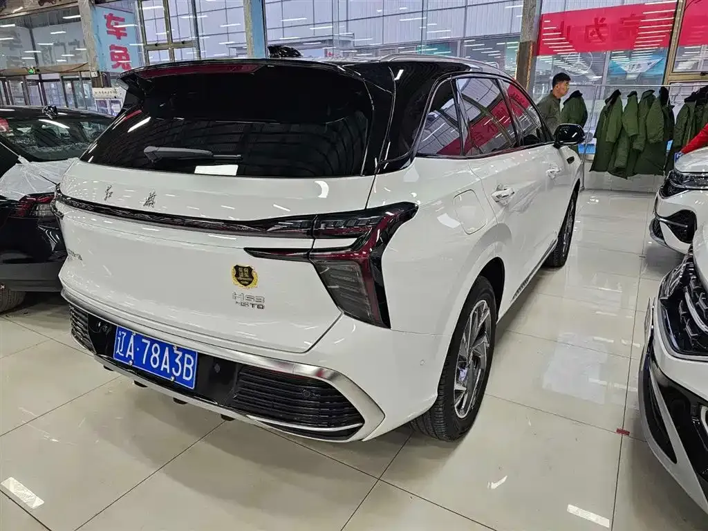 Hongqi HS3 — фото 10