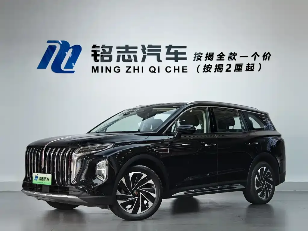 Hongqi HS7 PHEV — фото 8