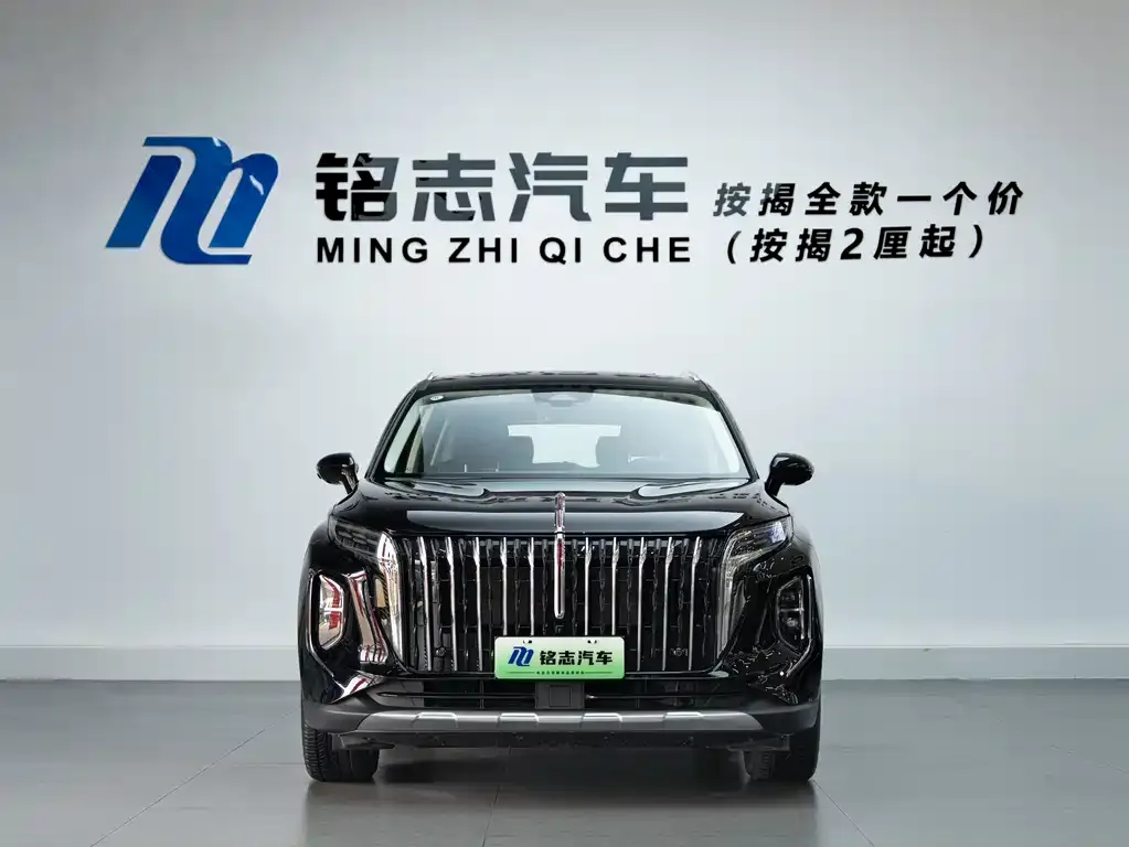 Hongqi HS7 PHEV — фото 4