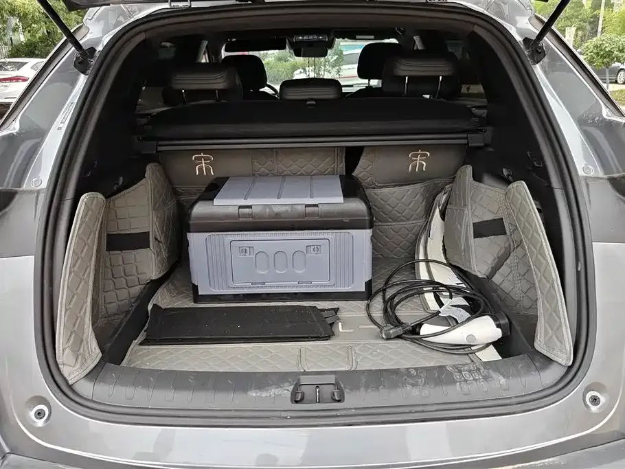 BYD L DM-i — фото 2
