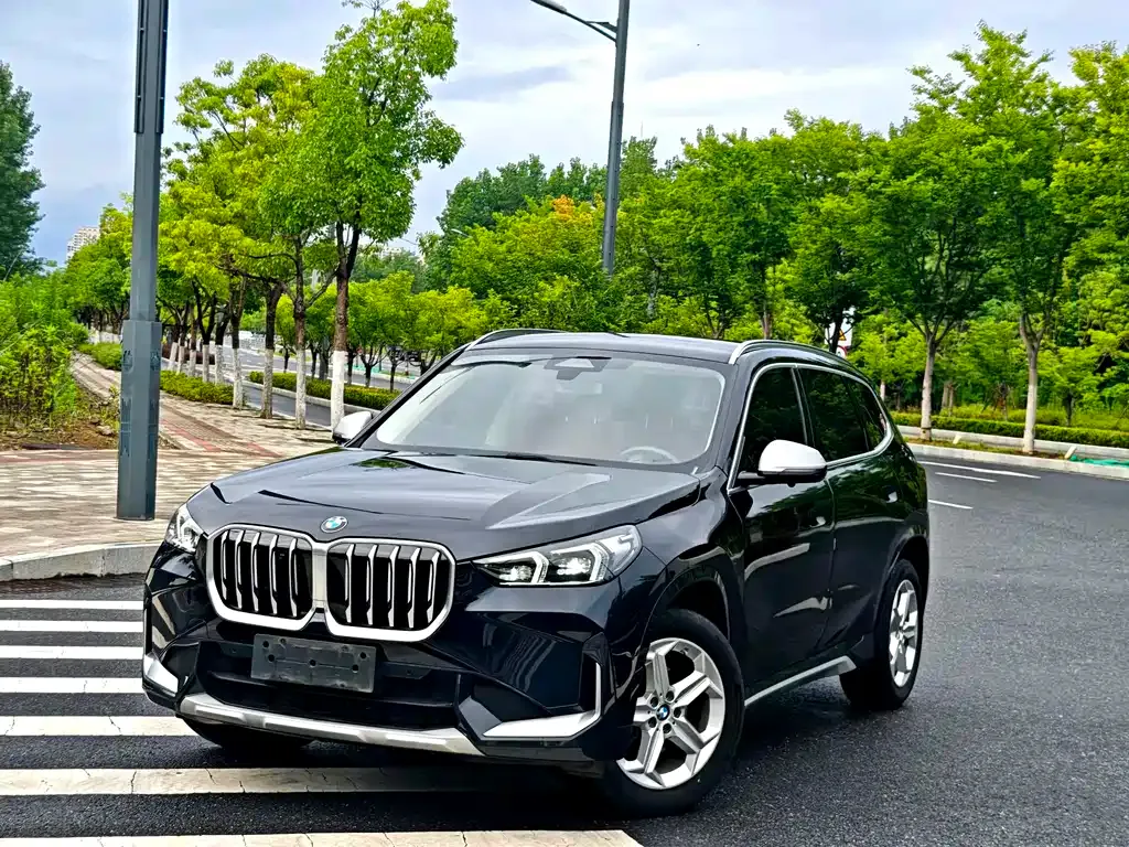 BMW X1 — фото 1