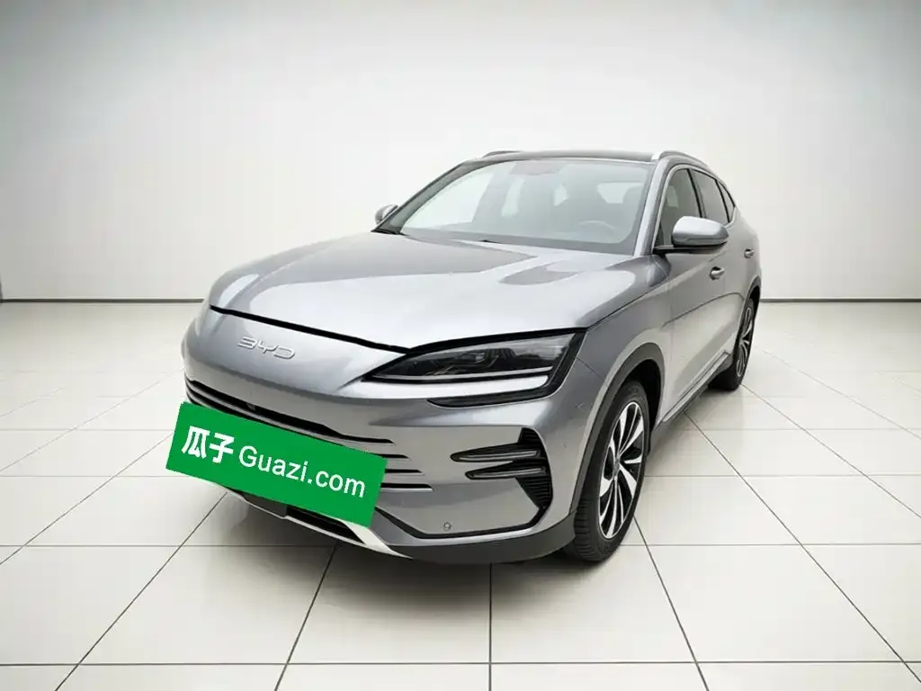 BYD PLUS New Energy — фото 1