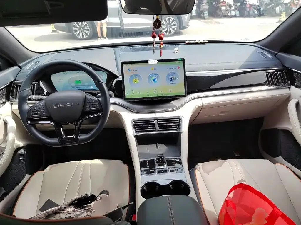 BYD PLUS New Energy — фото 10