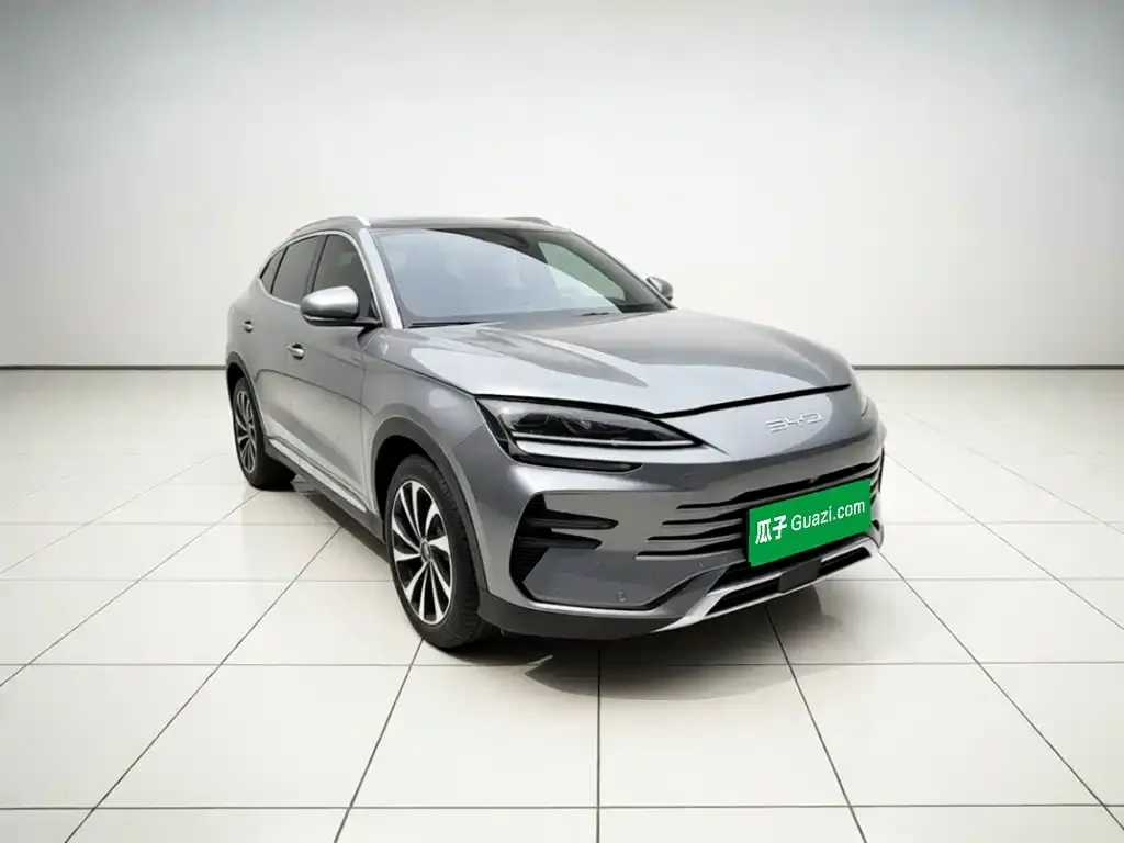 BYD PLUS New Energy — фото 6