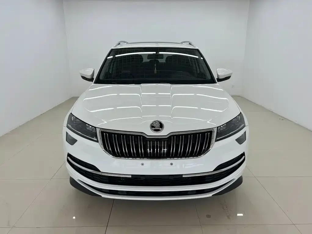 Skoda Karoq — фото 3