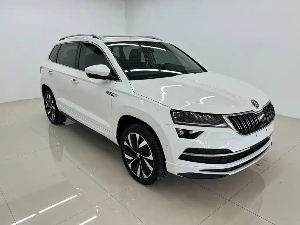 Skoda Karoq — фото 6