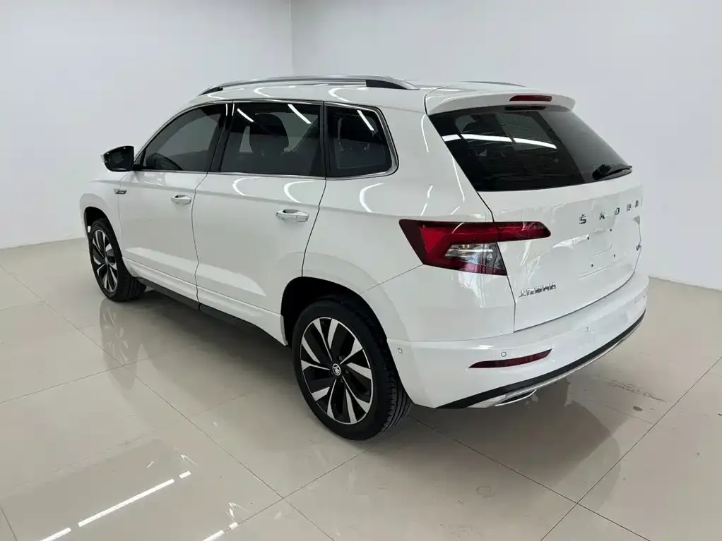Skoda Karoq — фото 8