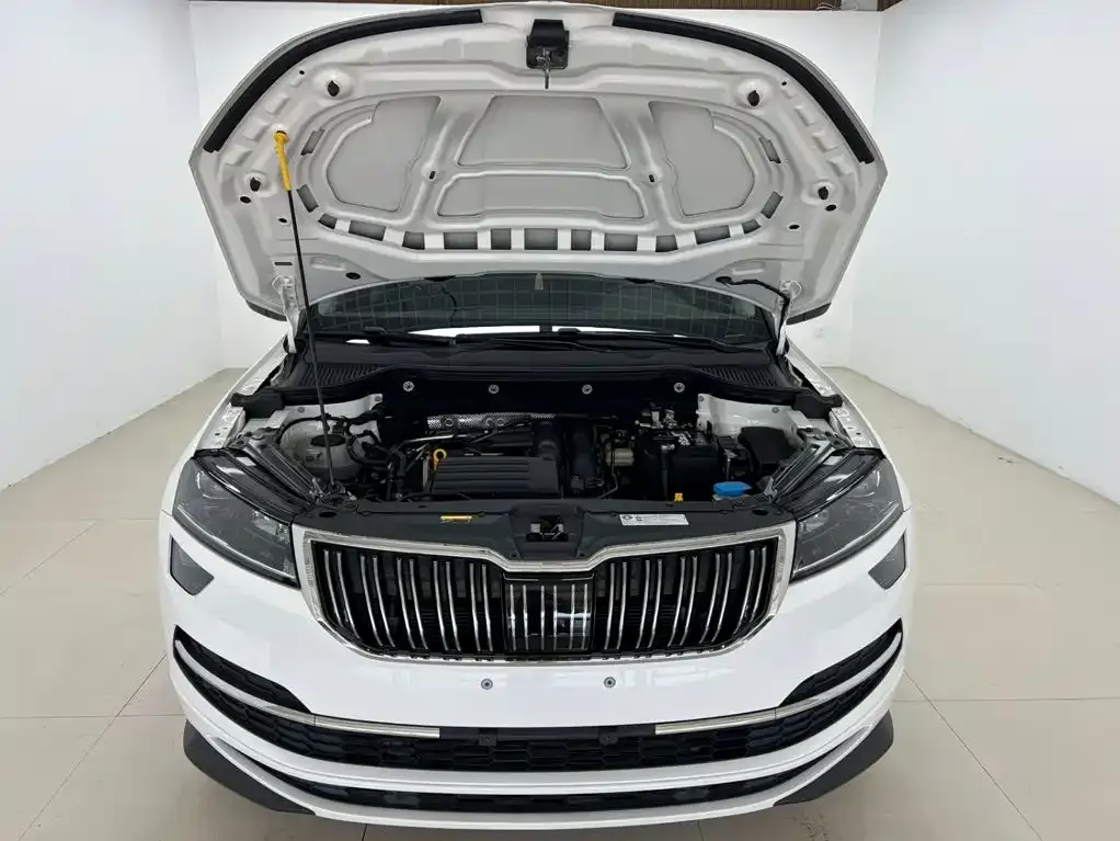 Skoda Karoq — фото 10