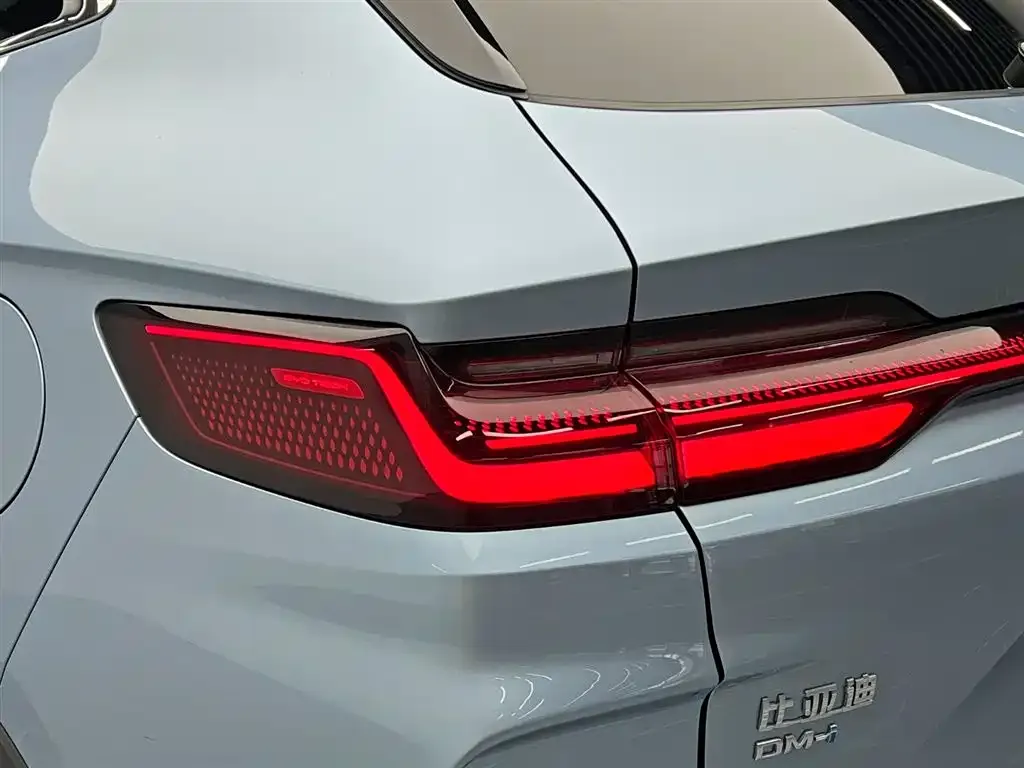 BYD PLUS New Energy — фото 7