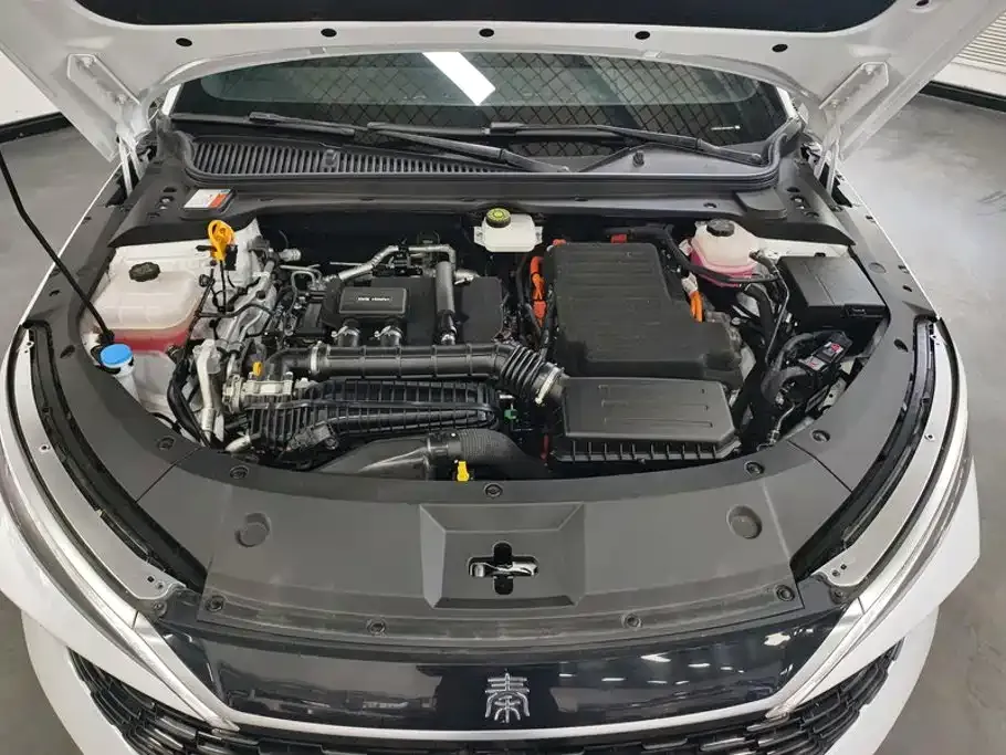 BYD Qin L 2024 из CN, фото 9