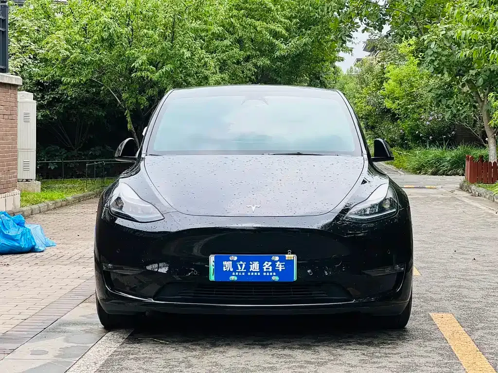Tesla Model Y — фото 9