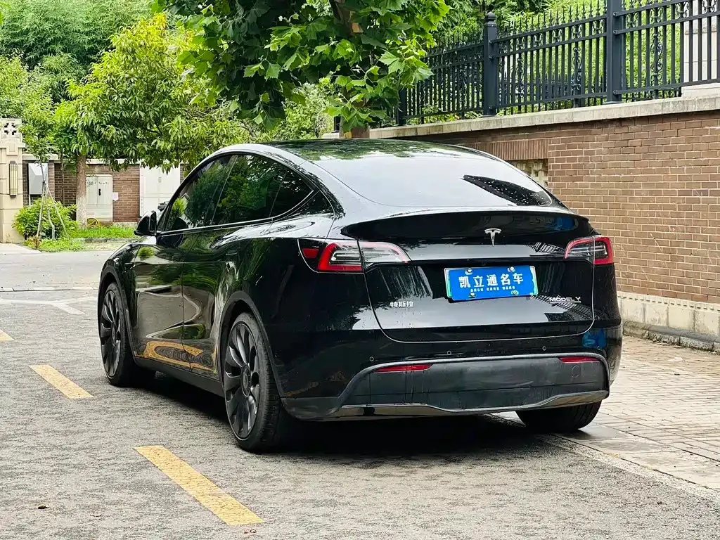 Tesla Model Y — фото 8