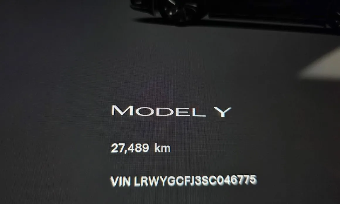 Tesla Model Y — фото 3