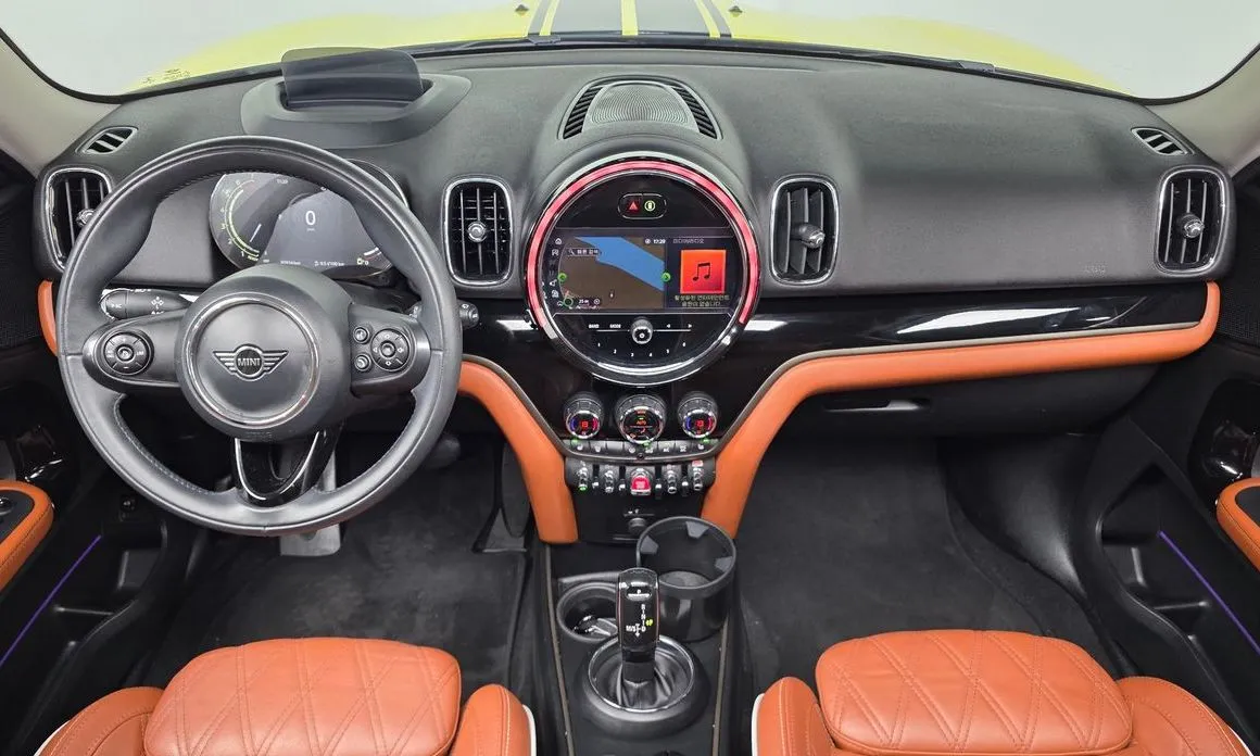 Mini Countryman 2021 из KR, фото 4