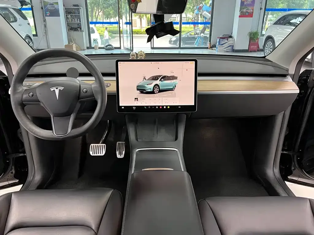 Tesla Model Y — фото 10
