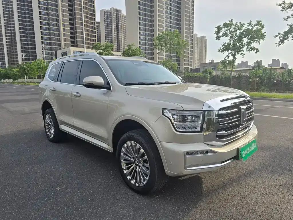 Tank 500 New Energy 2024 из CN, фото 5