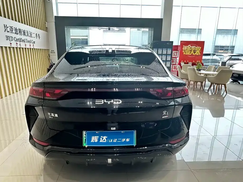BYD L EV — фото 3