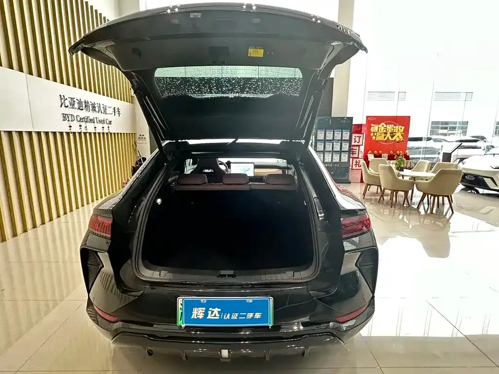 BYD L EV — фото 10