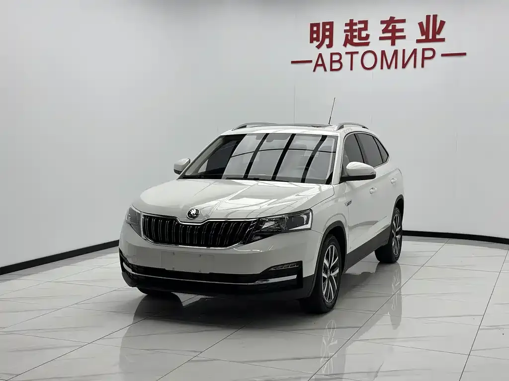 Skoda Kamiq — фото 8