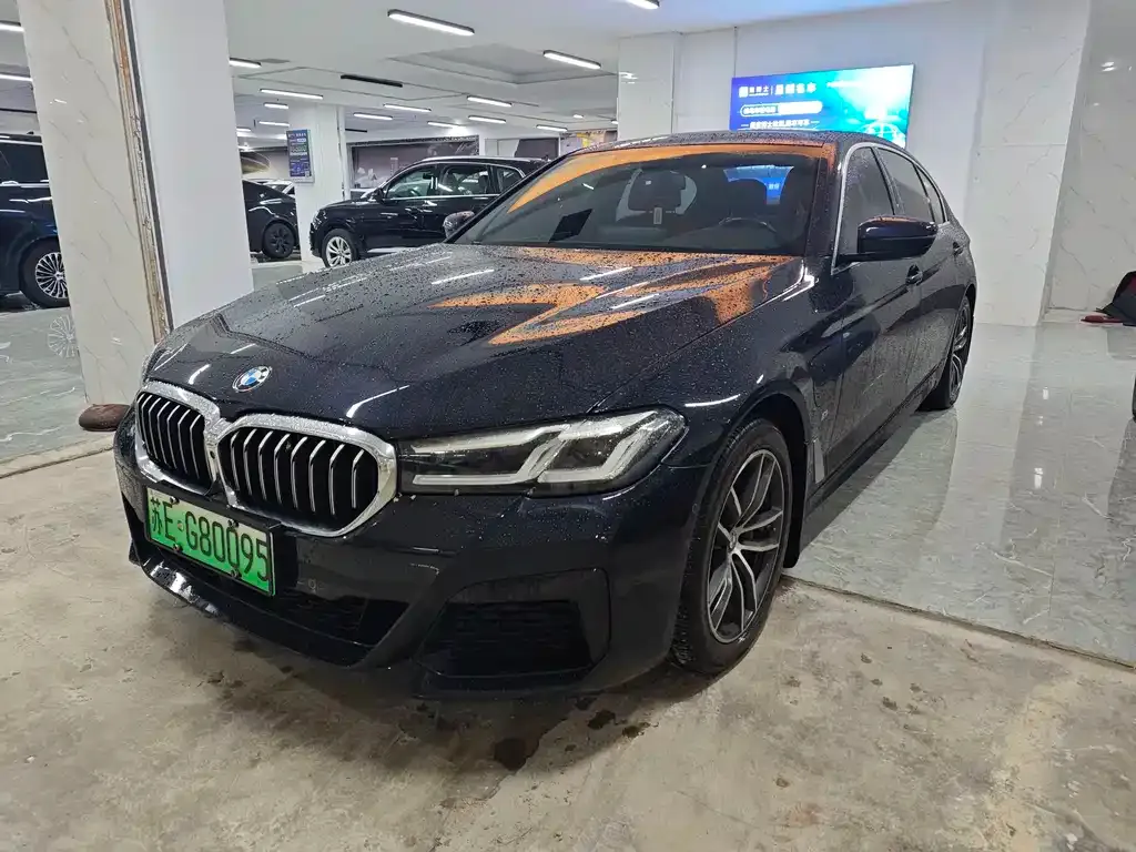 BMW 5 Series New Energy