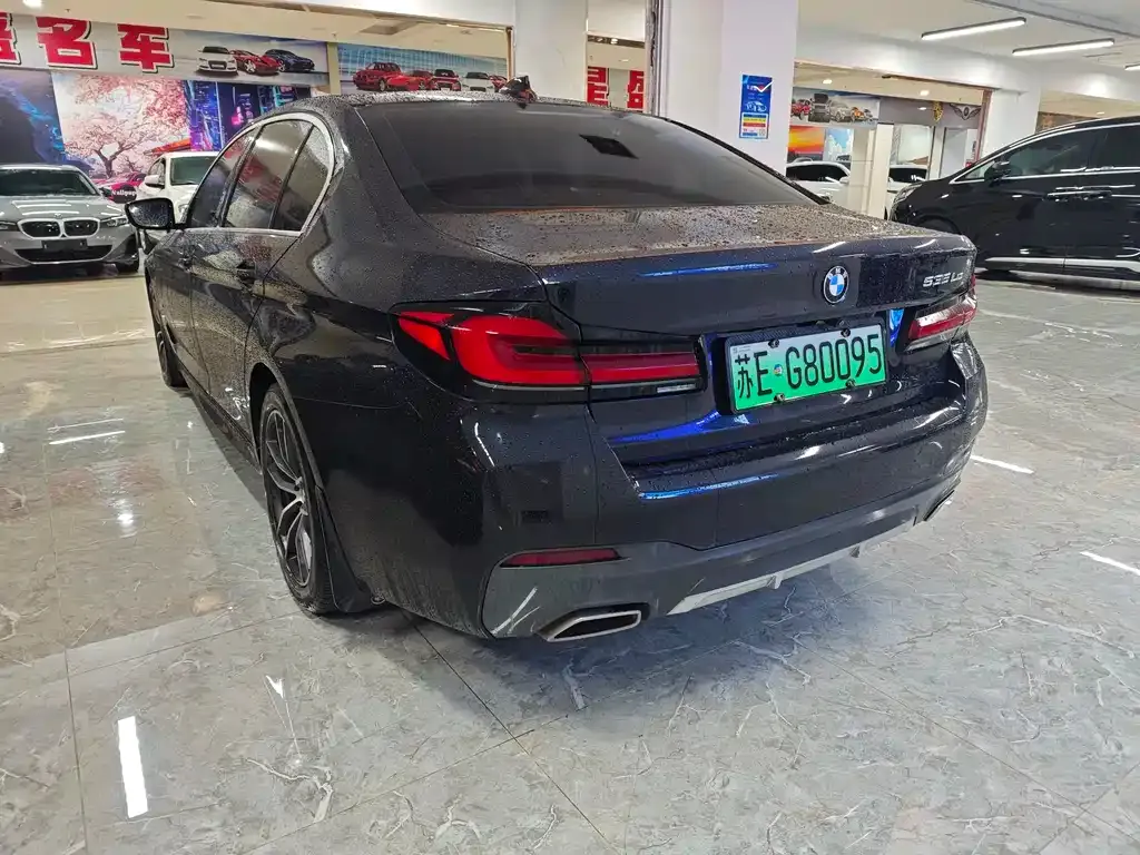 BMW 5 Series New Energy 2021 из CN, фото 9