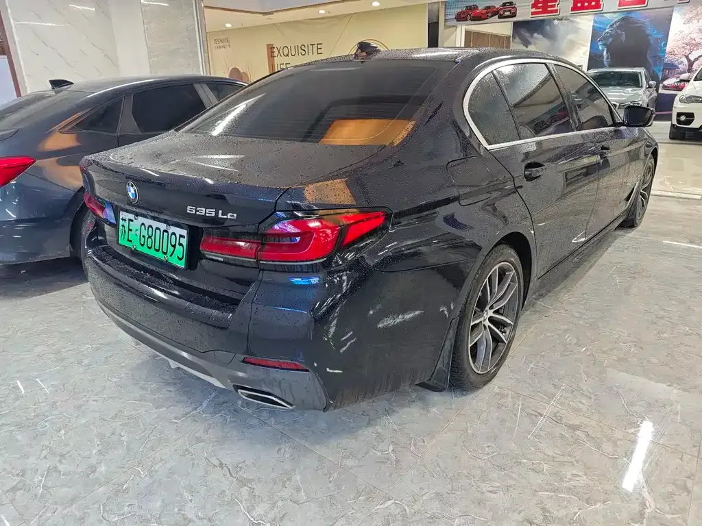 BMW 5 Series New Energy 2021 из CN, фото 8