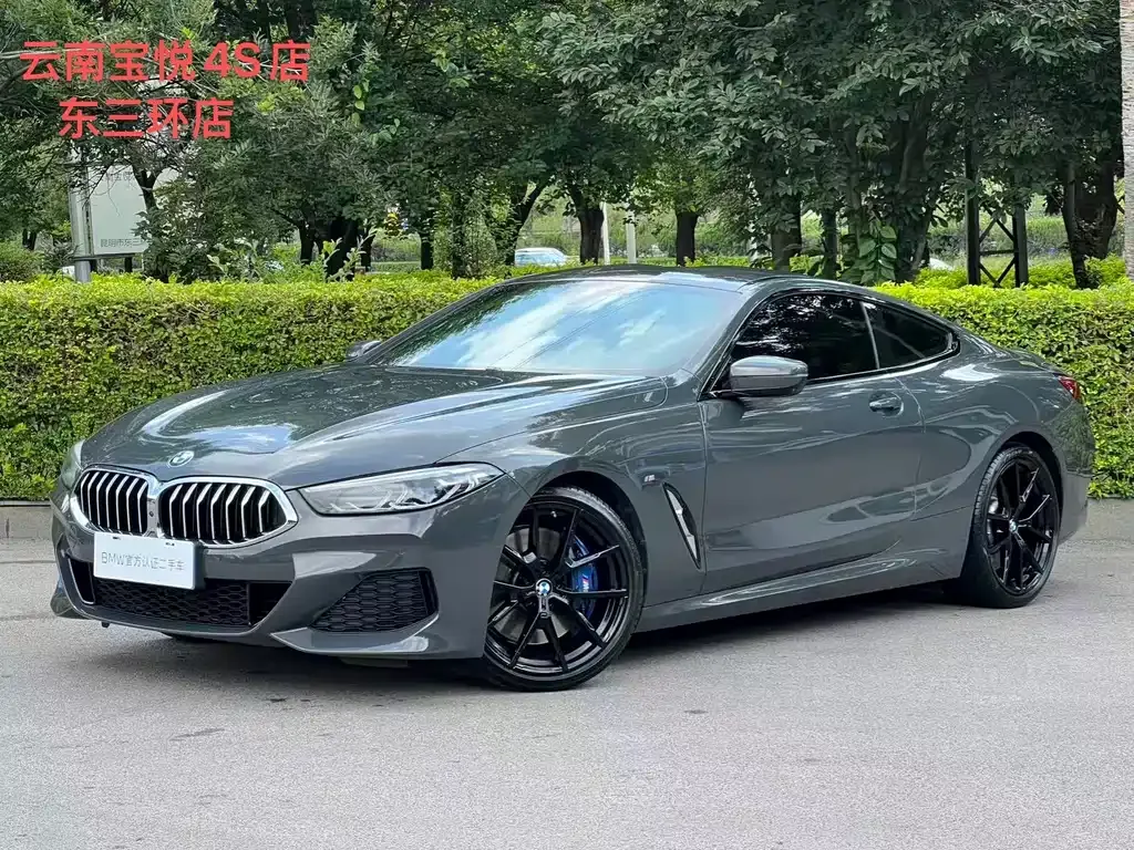 BMW 8 Series — фото 1
