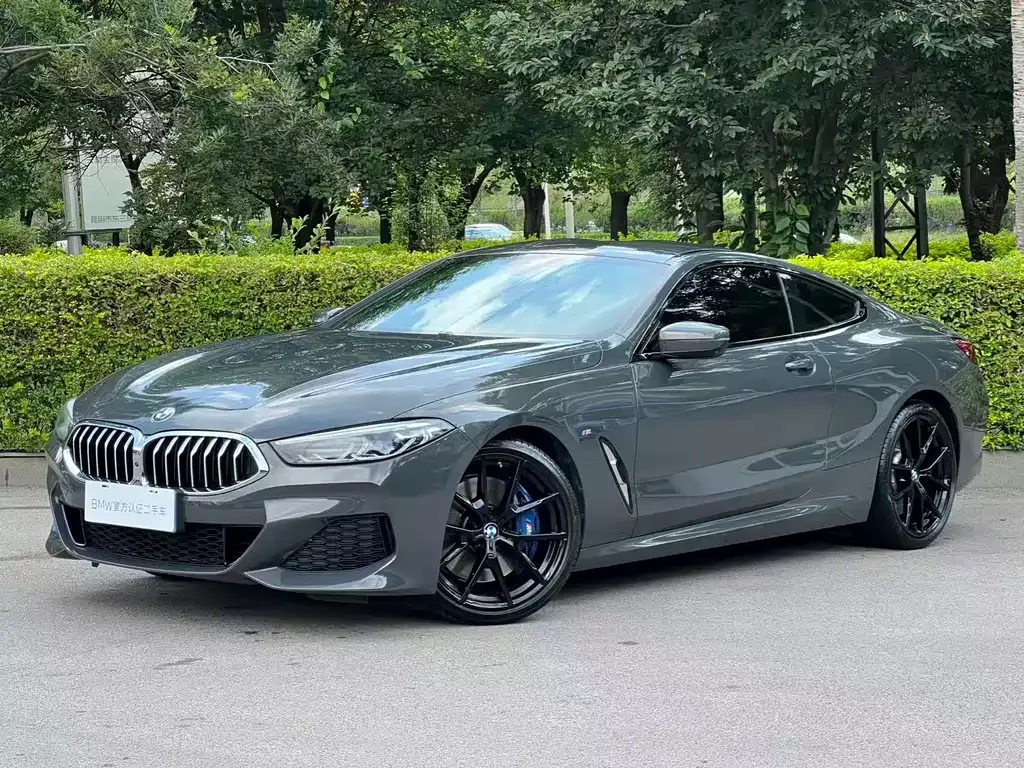BMW 8 Series — фото 6