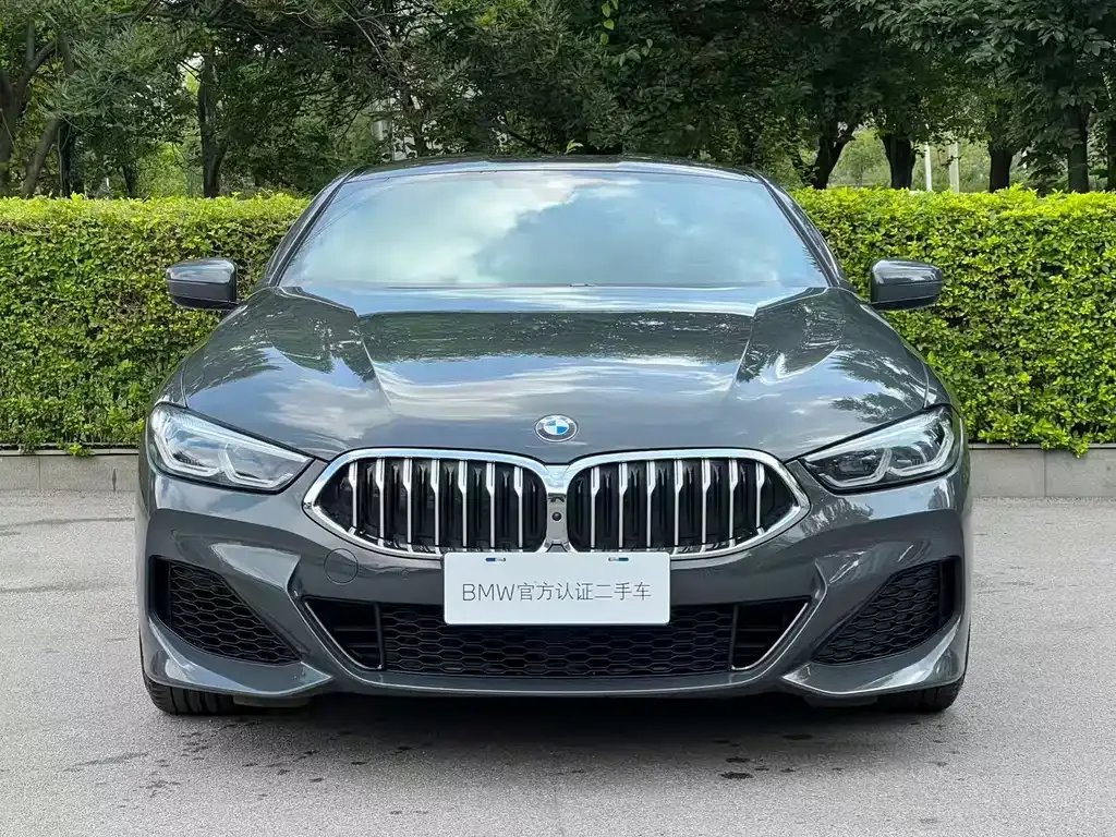 BMW 8 Series — фото 10