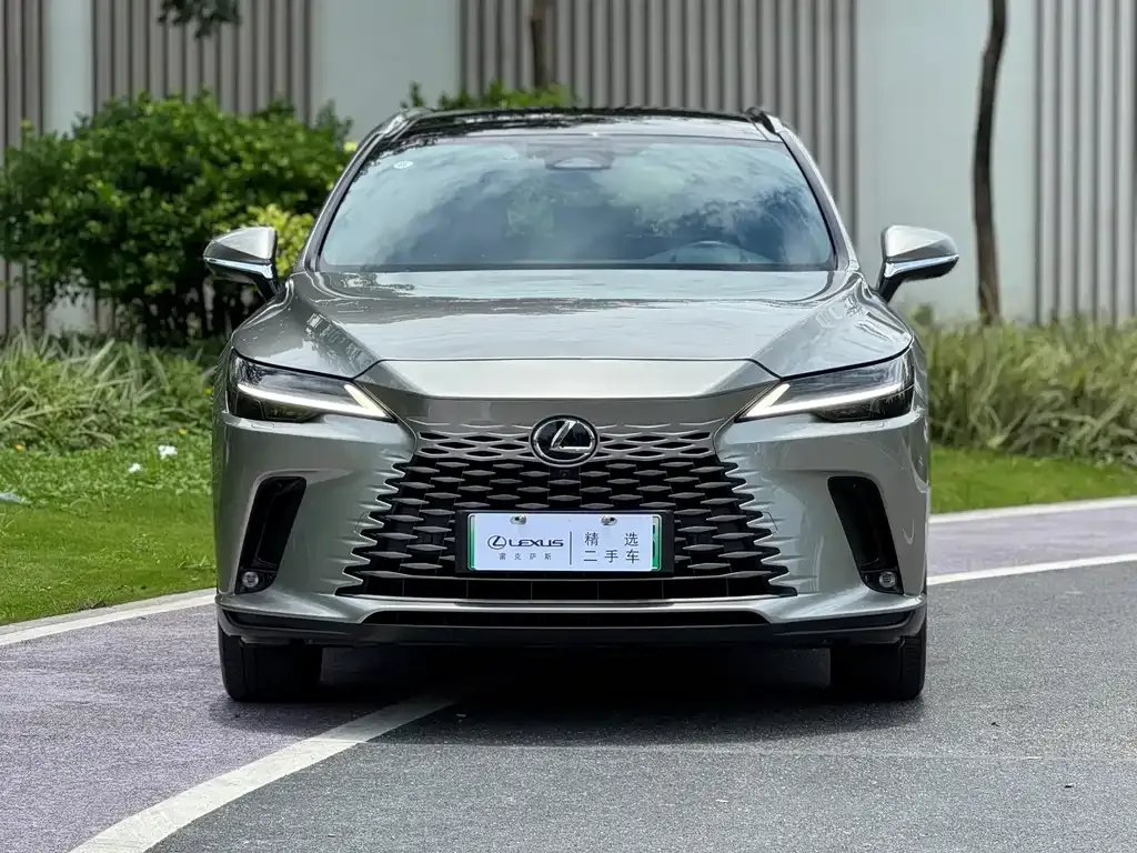 Lexus RX New Energy — фото 2