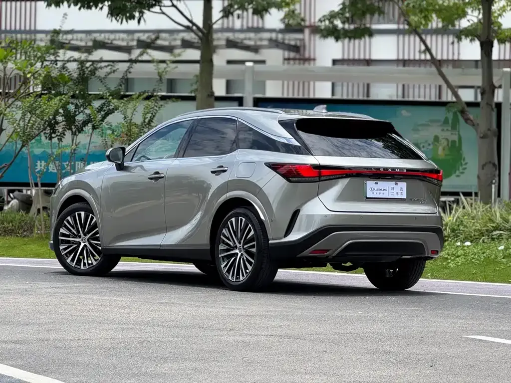 Lexus RX New Energy — фото 7