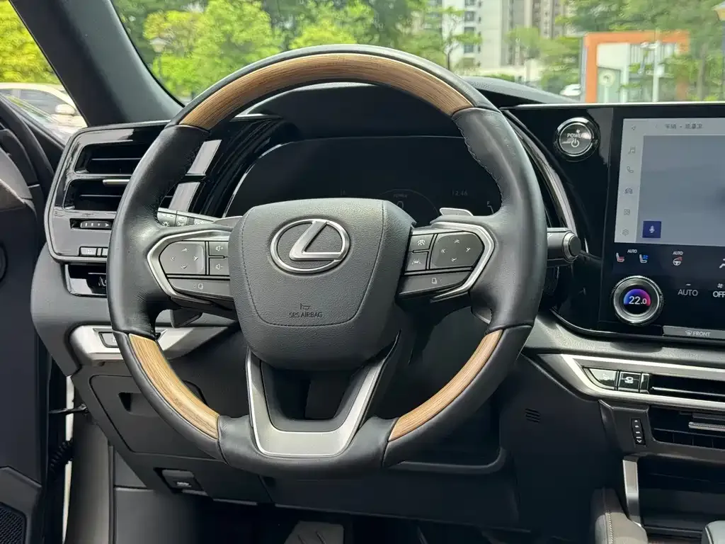 Lexus RX New Energy — фото 3