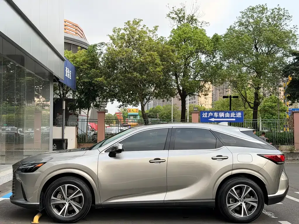 Lexus RX — фото 10