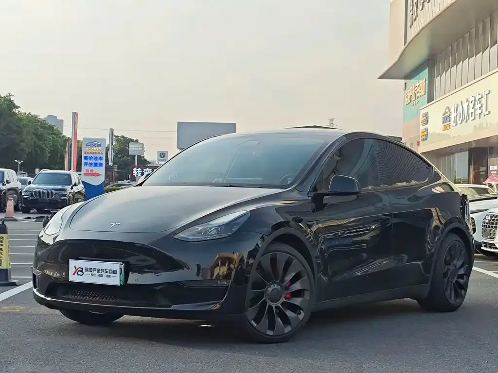 Tesla Model Y — фото 1