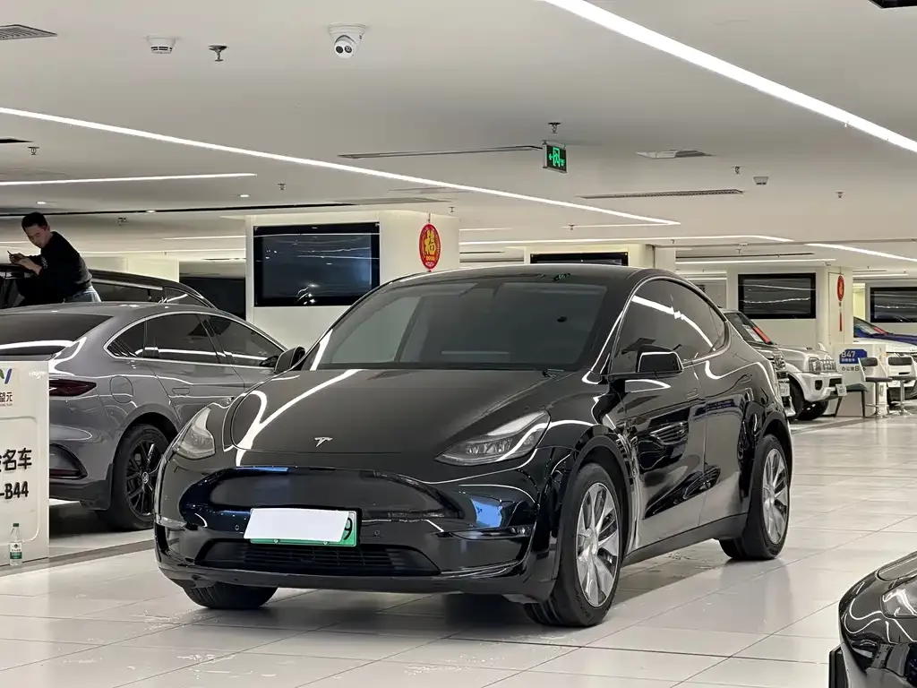 Tesla Model Y — фото 1