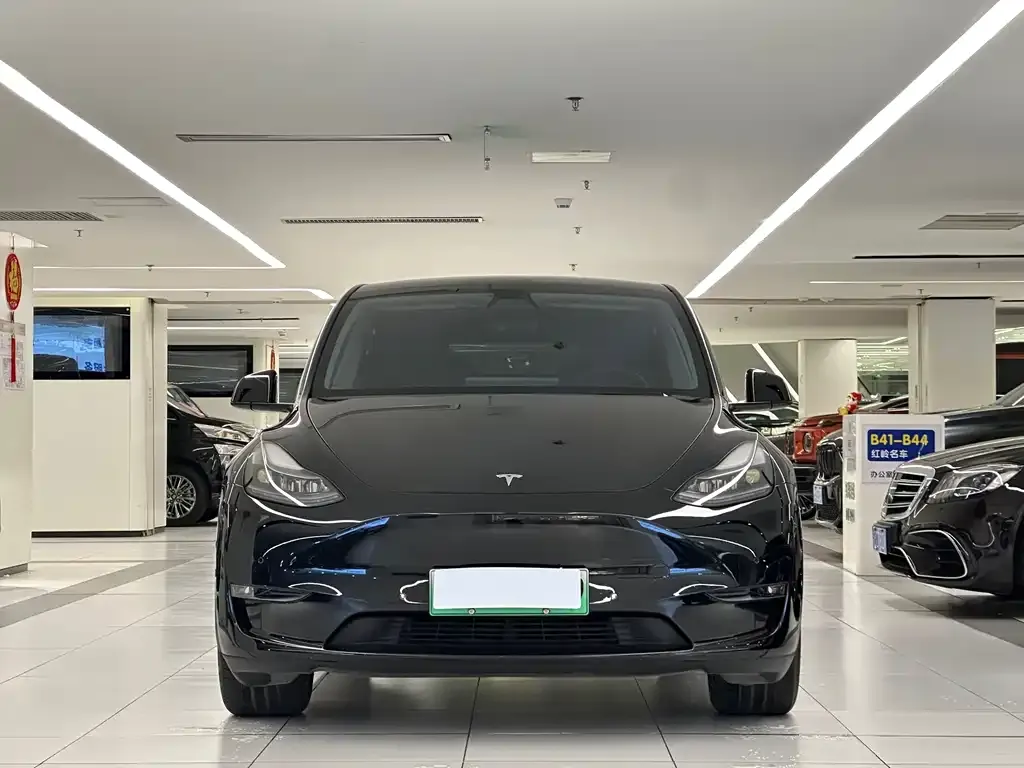 Tesla Model Y — фото 3