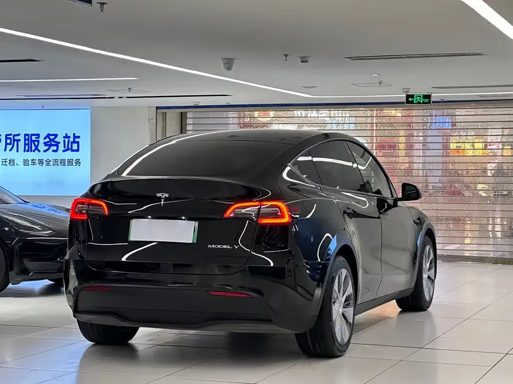 Tesla Model Y — фото 10
