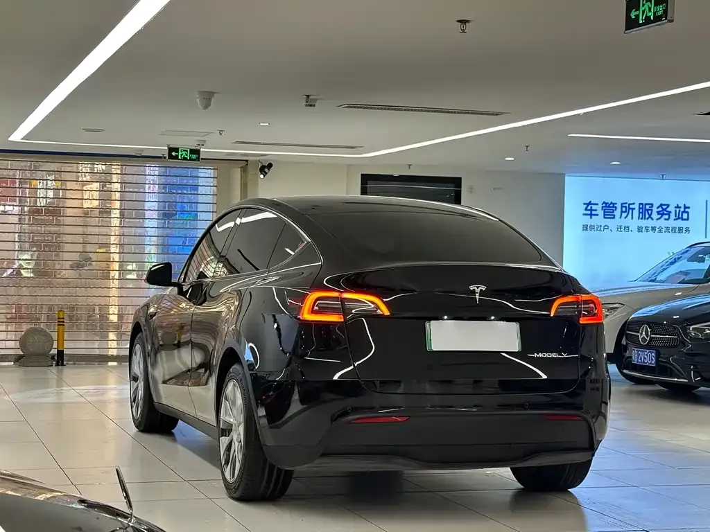 Tesla Model Y — фото 2