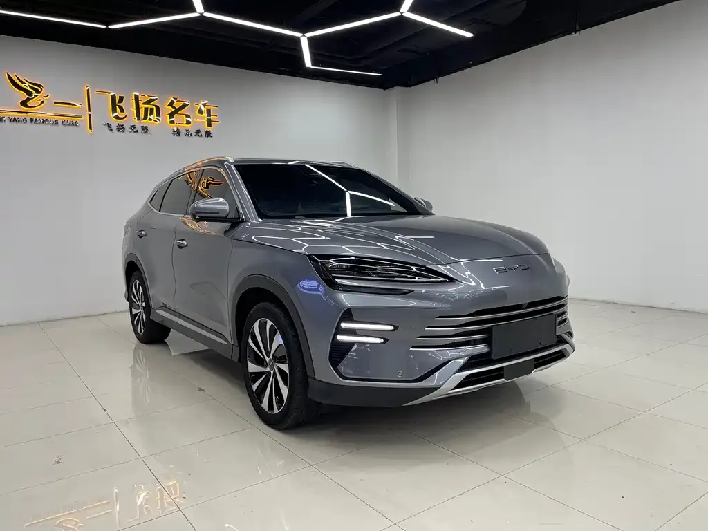 BYD PLUS New Energy — фото 1