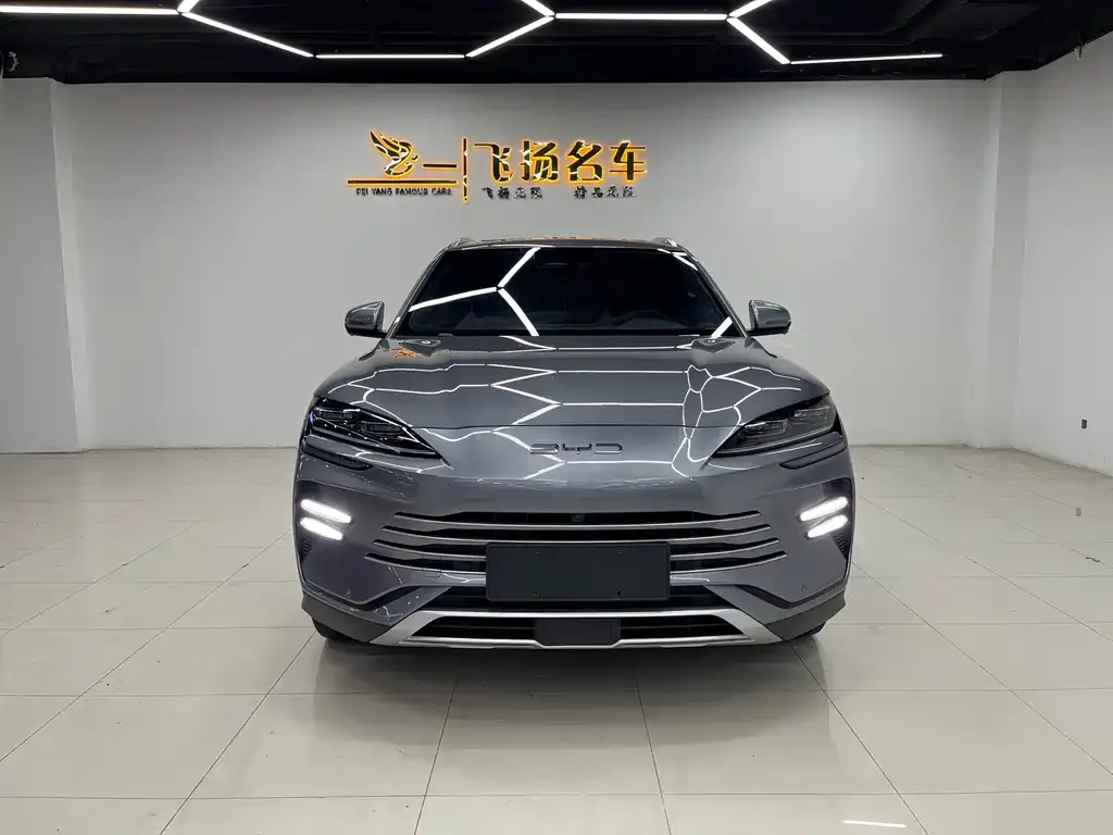 BYD PLUS New Energy — фото 2