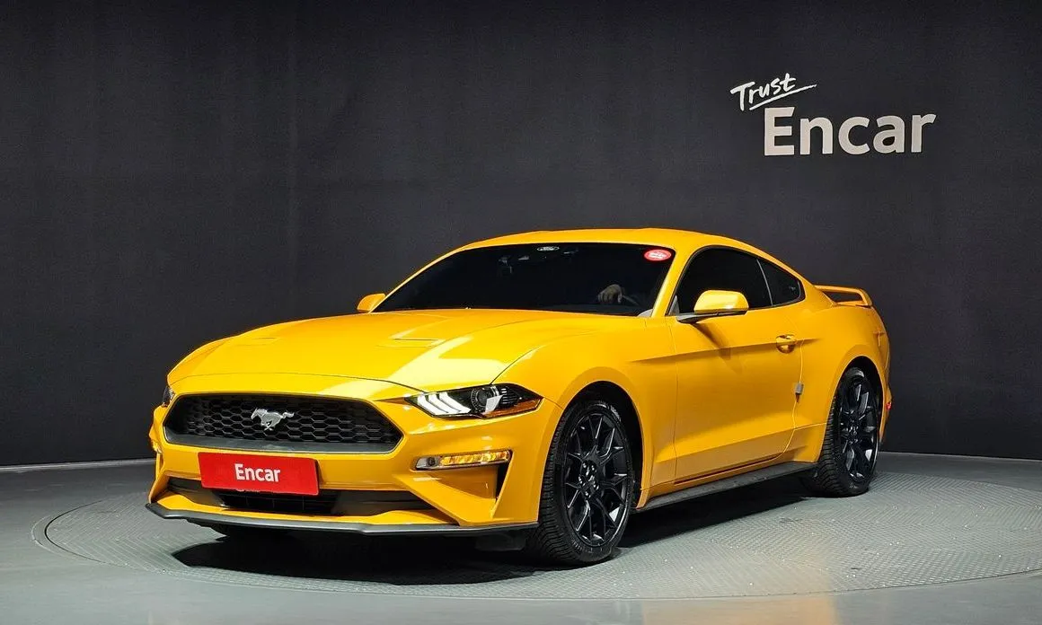 Ford Mustang Coupe 1