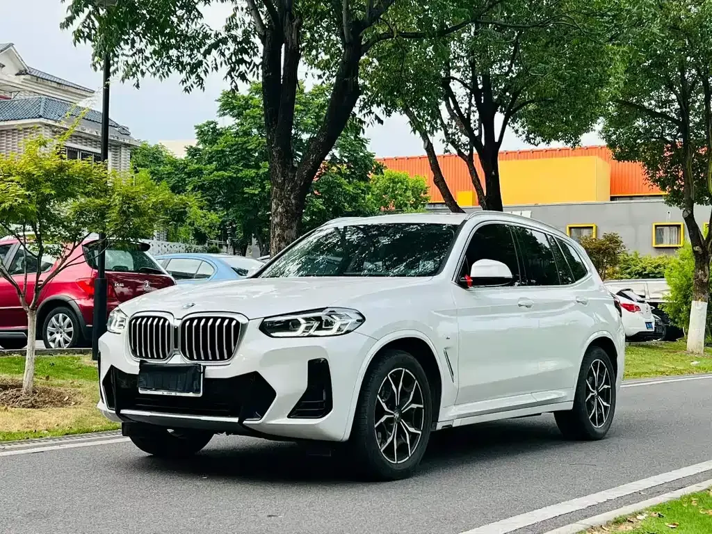 BMW X3 — фото 1