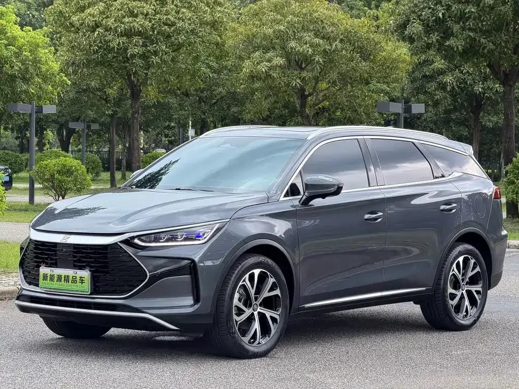 BYD Tang New Energy — фото 1