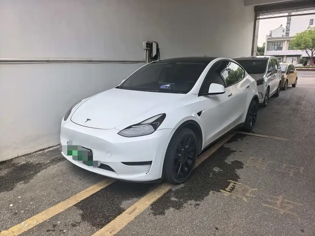 Tesla Model Y — фото 1