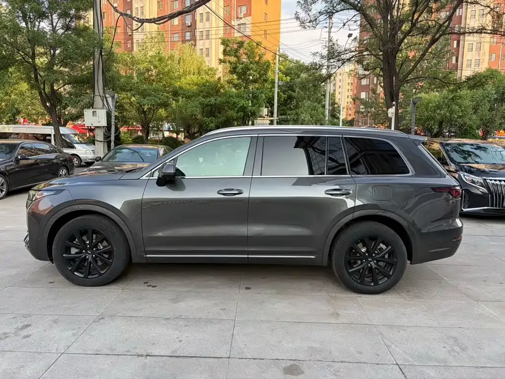 Li Auto ONE 2021 из CN, фото 10