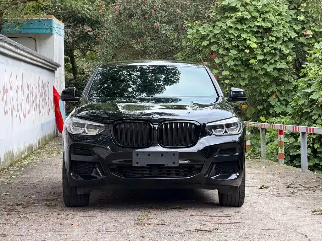 BMW X4 — фото 10