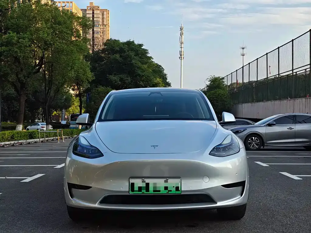 Tesla Model Y — фото 6