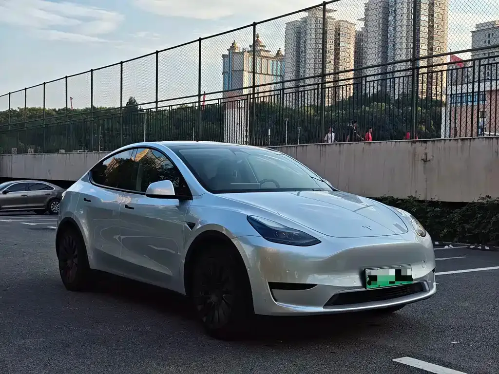 Tesla Model Y — фото 8
