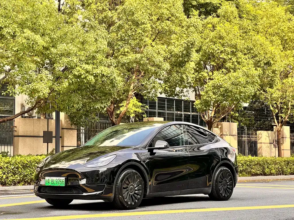 Tesla Model Y — фото 1