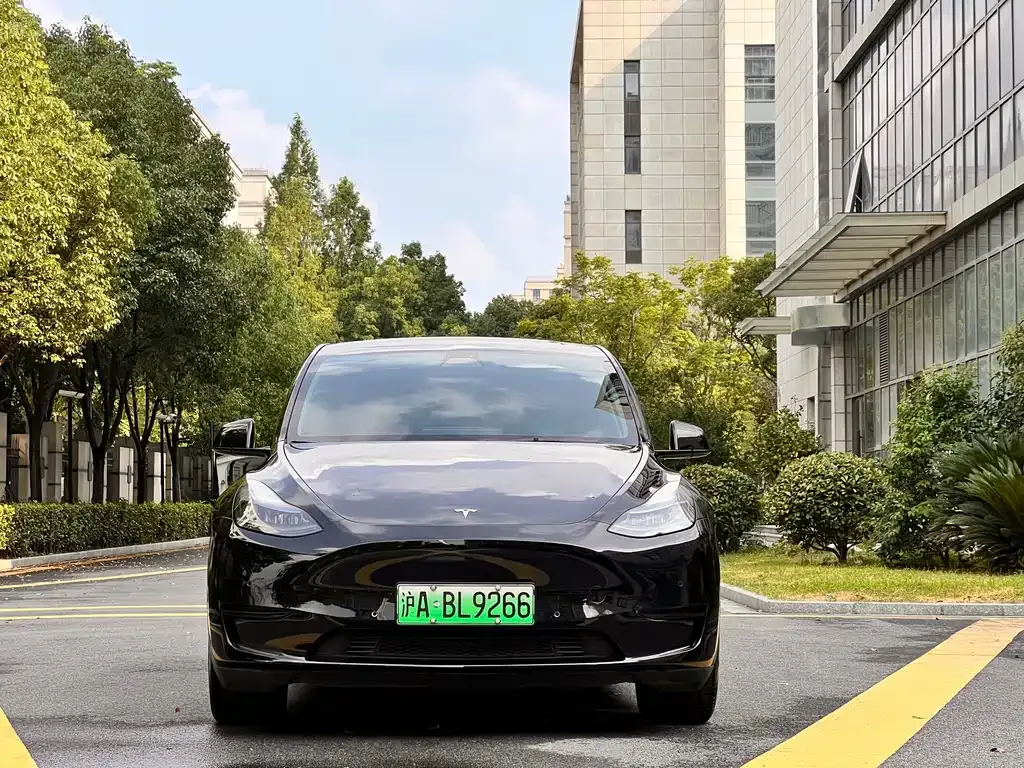 Tesla Model Y — фото 9